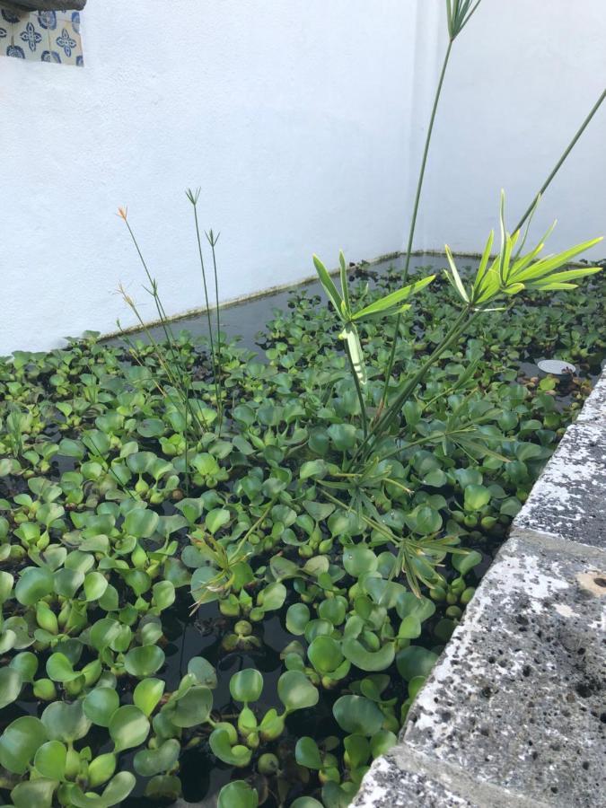 Solar Nossa Senhora Da Conceicao Βίλα Capelas Εξωτερικό φωτογραφία