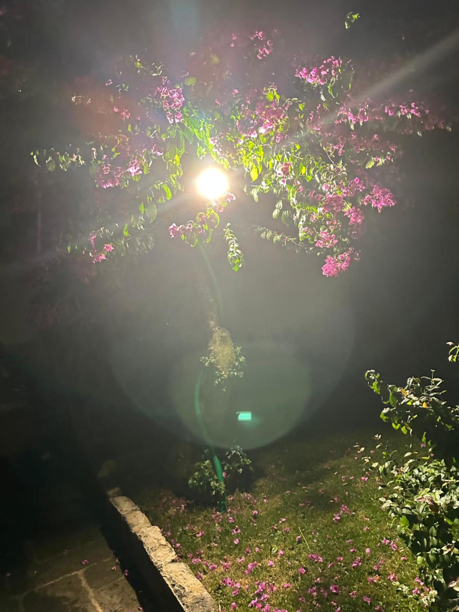 Solar Nossa Senhora Da Conceicao Βίλα Capelas Εξωτερικό φωτογραφία